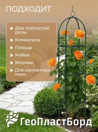 Geoplastboard support for roses, collapsible, height 185cm, metal