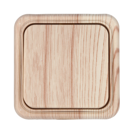 Single-key switch for open installation, scheme 1 (pine), Standard
