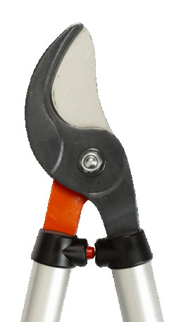 Knot cutter with telescopic handles