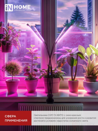 Светильник настольный на прищепке светодиодный СНП-Т2-ФИТО 4П40 красно-синий 40Вт 4 плафона, пульт на шнуре IN HOME