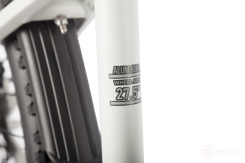 Gelbert Ran 3 PRO electric bike, grey