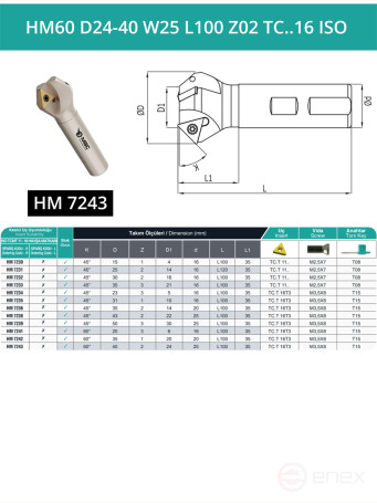 Фреза фасочная концевая D40 мм, 2 зуба HM60 D24-40 W25 L100 Z02 TC..16 ISO / пластина TC*T 16T3**