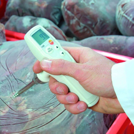 Thermometer Testo 105 with verification