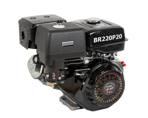 Petrol engine BR220P20