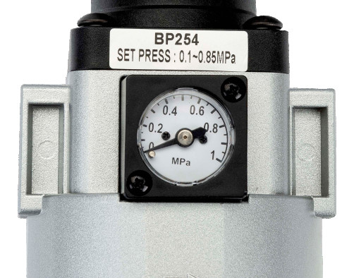 Filter and reducer with pressure gauge