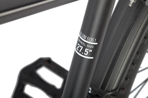 Gelbert Ran Star 2 PRO electric bike, blue