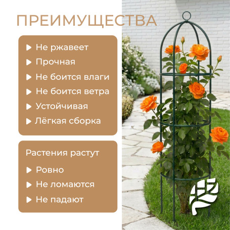 Geoplastboard support for roses, collapsible, height 185cm, metal