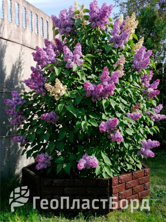 Decorative garden fence for cottages and gardens Geoplastboard 180x20 cm