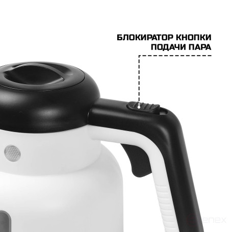 Пароочиститель BORT BDR-1900