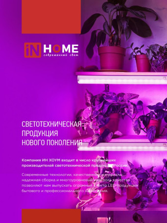 Светильник светодиодный СПБ-110 STD-ФИТО красно-синий спектр 55Вт 1200мм IP40 IN HOME