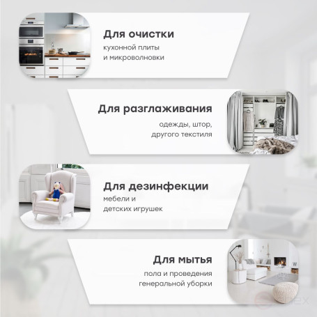 Пароочиститель BORT BDR-3000-RR