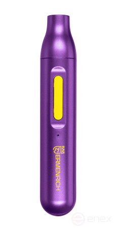 Precision screwdriver Ermenrich Tunn PD15