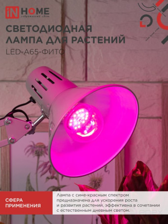 Лампа светодиодная LED-A65 STD-ФИТО красно-синий спектр 25Вт 230В Е27 IN HOME