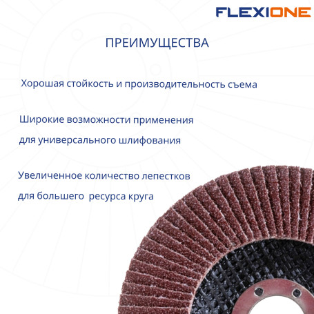 Flat petal circle 125x22mm P120 Flexione Expert, 10 pcs.