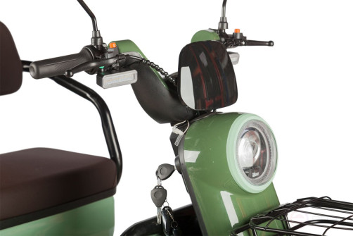 Electric tricycle Rutrike Gelbert Kang 48V/60V 800W, green