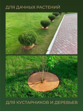 Coconut barrel circle 5 pieces 60 cm Coconut fiber 100 %