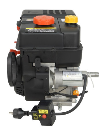 Loncin LC170FD(S) engine (A35 type) D19