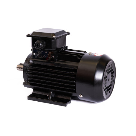 4045556001 Electric Motor Y2-80 MV-2 380V