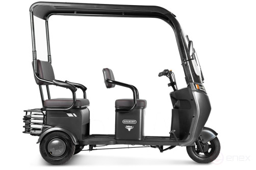 Electric tricycle Rutrike Gelbert Bos 48V/60V 800W, black