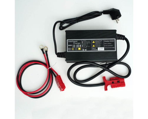 Single-phase 12V 20A charger