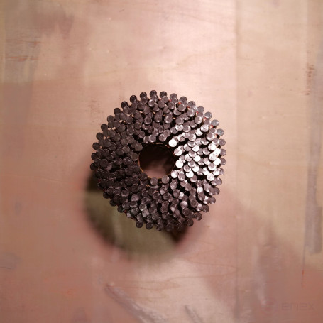 CNW drum nails for wood (2.8*80 mm, BKSCH, screw., 4500 pcs/pack)