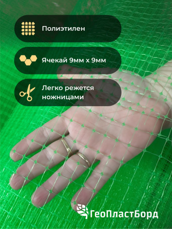 Garden netting to protect plants and crops from birds Geoplastboard 2x10 m color green