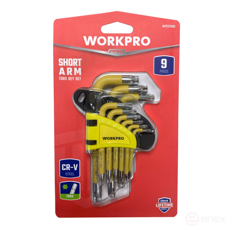 6-sided TORX 9pcs Keys in the WP222009 WORKPRO holder