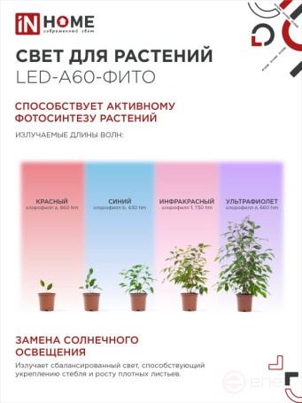 LED Lamp LED-A60 STD-PHYTO Red-blue Spectrum 15W 230V E27 IN HOME