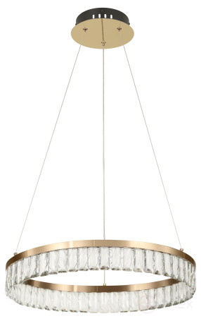 Люстра Rivoli Erika 6131-104 светодиодная LED 40 Вт 3000 K дизайн