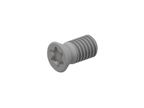 Винт М2 TORX T06 WT20040 для механического крепления пластин «Русский Инструмент» (РИ)
