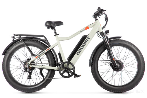 Gelbert Pegas 4 DUAL PRO MAX Electric bike, khaki