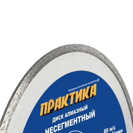 Диск алмазный несегментный ПРАКТИКА "Мастер" 230 х 25,4/22 мм (030-658)