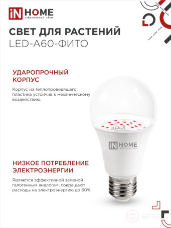 LED Lamp LED-A60 STD-PHYTO Red-blue Spectrum 15W 230V E27 IN HOME