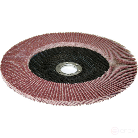 PRAKTIKA petal grinding wheel 180 x 22 mm P40 (1 pc.) Profi series (032-393)