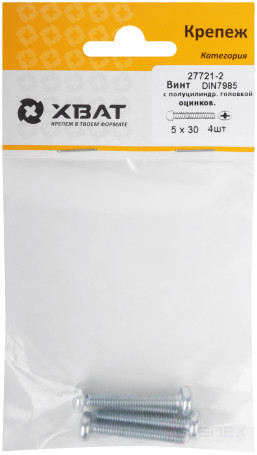 A semi-cylindrical screw. a head with a full thread of pins. DIN 7985 5x30 4 pcs.(packing)