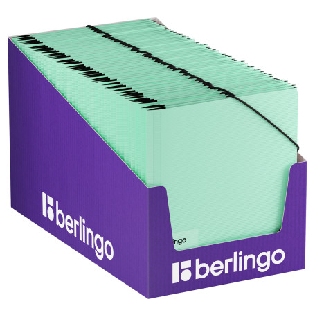 Папка на резинке Berlingo "Instinct" А5, пластик, 600 мкм, мятный