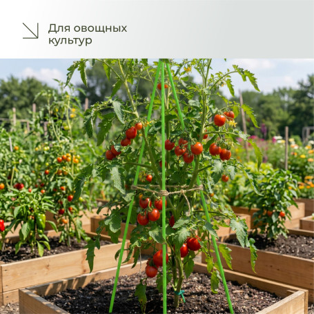 Колышки садовые композитные для подвязки растений ГеоПластБорд 20 штук цвет зеленый