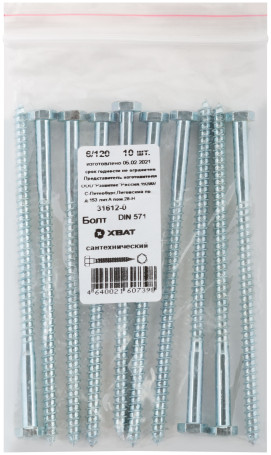 Sanitary bolt DIN 571 6/120 (packing 10 pcs)