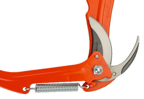 Pruner for upper branches P34-27A-F