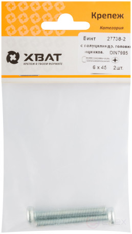 A semi-cylindrical screw. a head with a full thread of pins. DIN 7985 6x45 2 pcs.(packing)