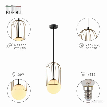 Pendant lamp Rivoli Bethany 4107-201 1 * E14 40W ceiling ball design