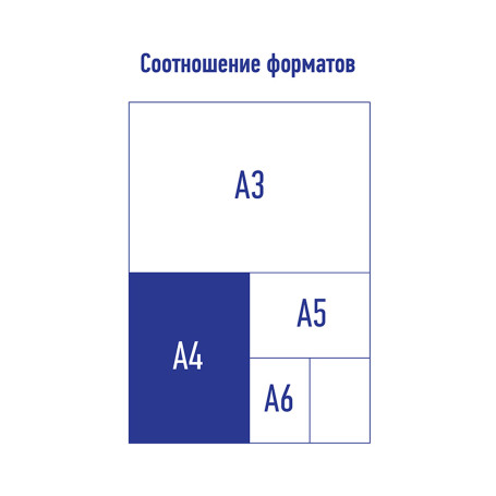 Папка с 80 вкладышами Berlingo "Color Zone", 30 мм, 1000 мкм, оранжевая