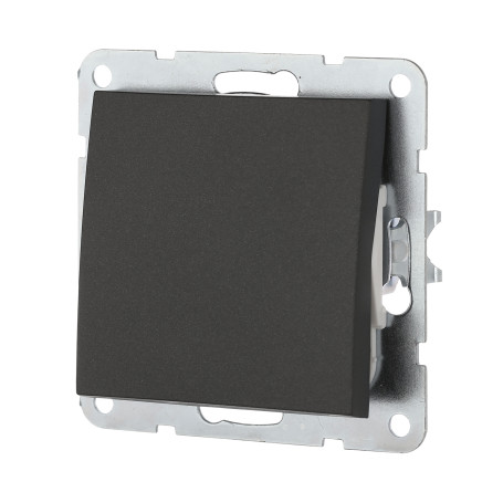 Switch 1-terminal, for 2 directions (scheme 6) 16 A, 250 B (black velvet) LK60