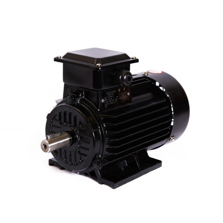 4045556001 Electric Motor Y2-80 MV-2 380V