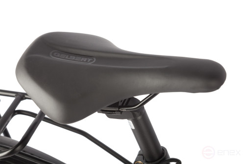 Gelbert Ran Star 2 PRO electric bike, green