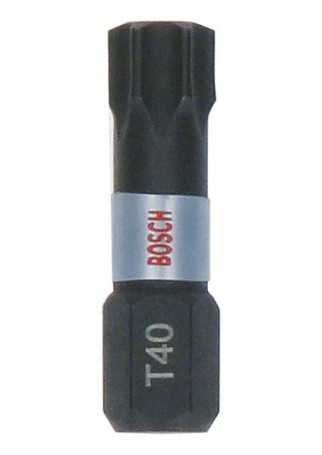Bits for impact drill T40, 25 mm, 25 pcs. Impact T40 25mm 25pc