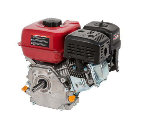 Petrol engine BR202P22S PRO