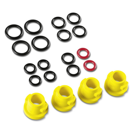 A set of spare O-rings