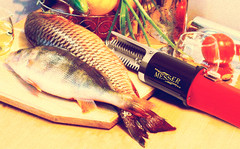 Rechargeable fish cleaning FISH