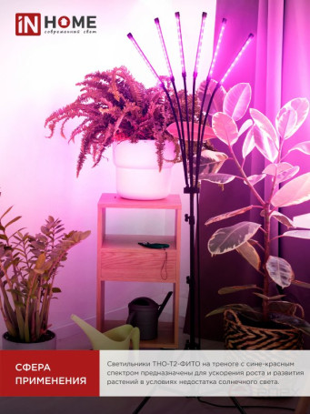 Светильник напольный на треноге светодиодный ТНО-Т2-ФИТО красно-синий 6Т60 60Вт 6 плафонов, пульт на шнуре IN HOME